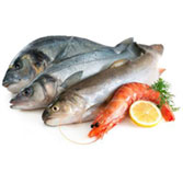 Fisk